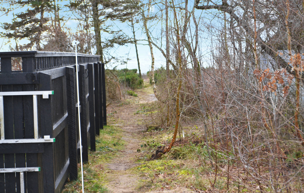Feriehuse - Begtrup Vig Strand , Danmark - E4065 6