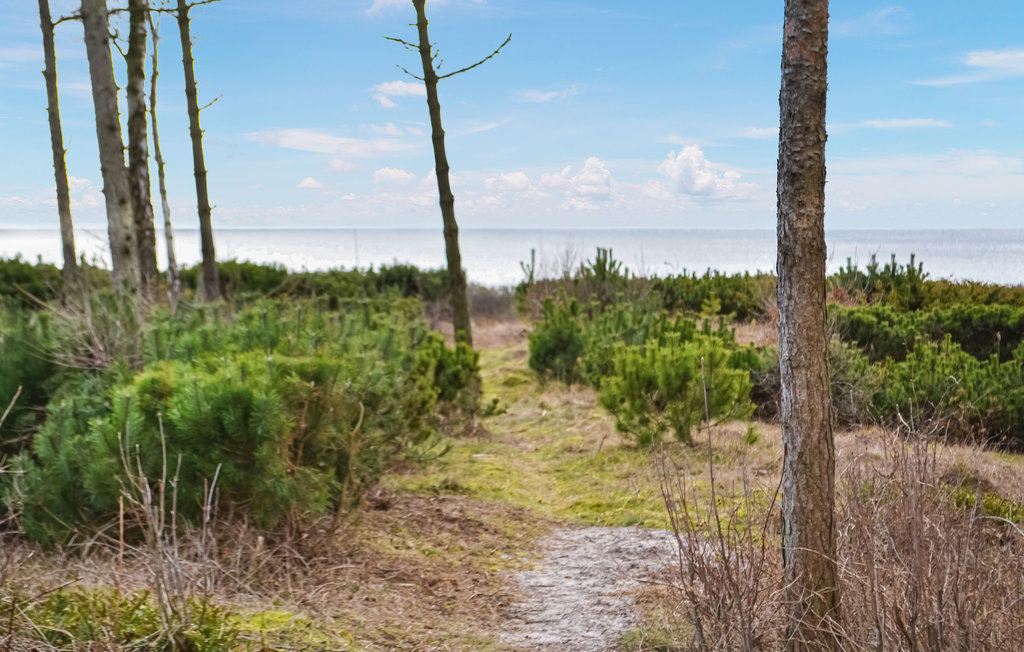 Feriehuse - Begtrup Vig Strand , Danmark - E4065 7
