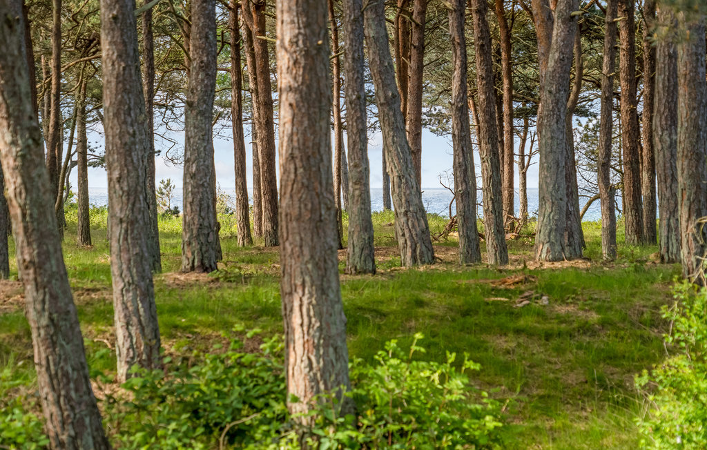 Feriehus - Begtrup Vig Strand , Danmark - E4129 19