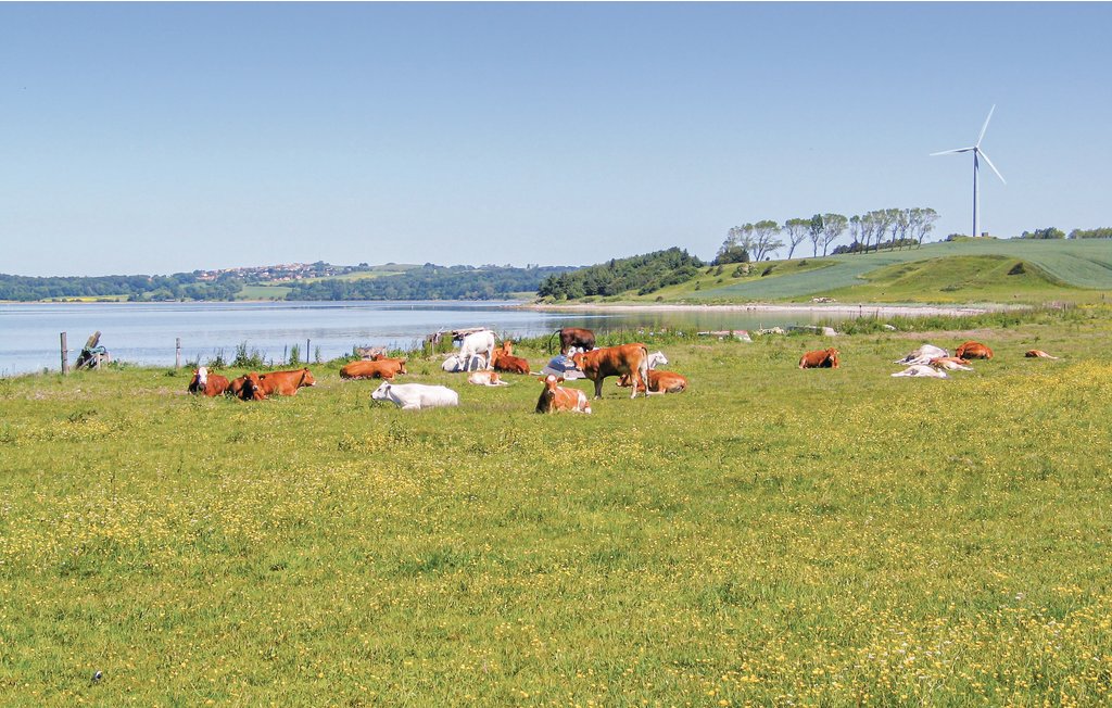 Feriehuse - Vrinners Strand , Danmark - E4162 23