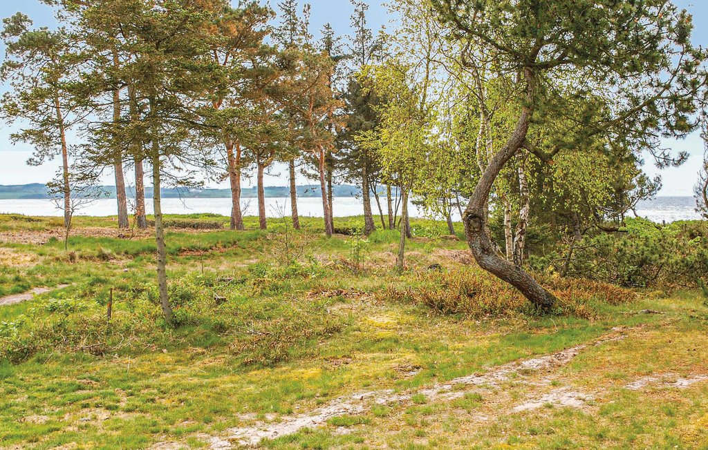 Feriehuse - Begtrup Vig Strand , Danmark - E4140 2