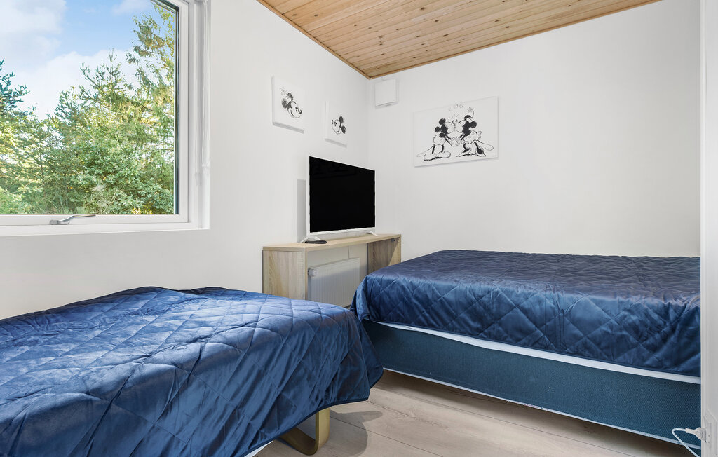 Ferienhaus - Fuglslev , Dänemark - E4314 15