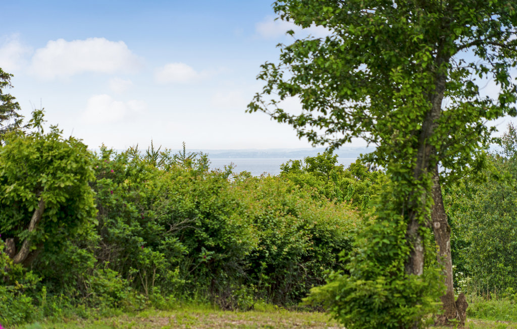 Ferienhaus - Slettehage , Dänemark - E4687 20