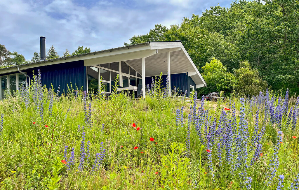 Feriehuse - Fuglsø , Danmark - E4639 1