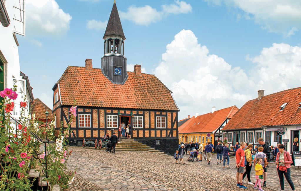 Ferienwohnung - Ebeltoft Strand , Dänemark - E4900 28