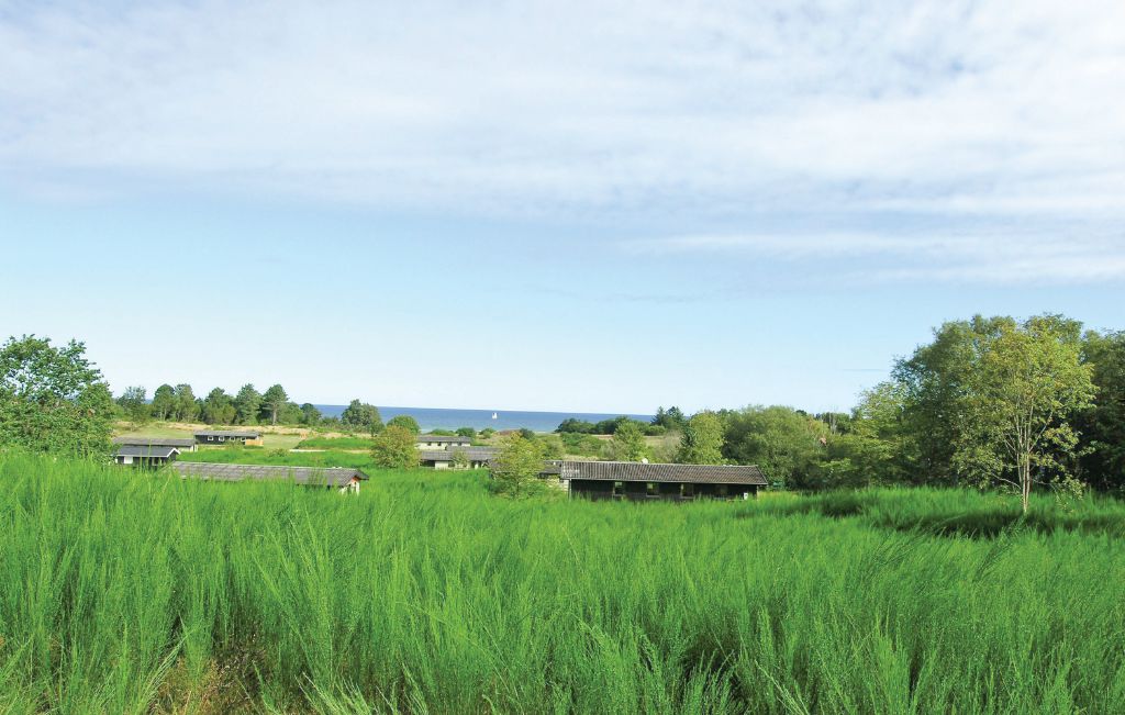 Feriehuse - Bønnerup Strand , Danmark - E5092 19
