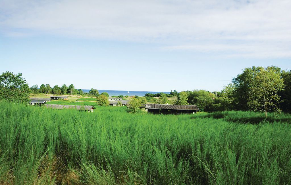 Feriehuse - Bønnerup Strand , Danmark - E5092 20