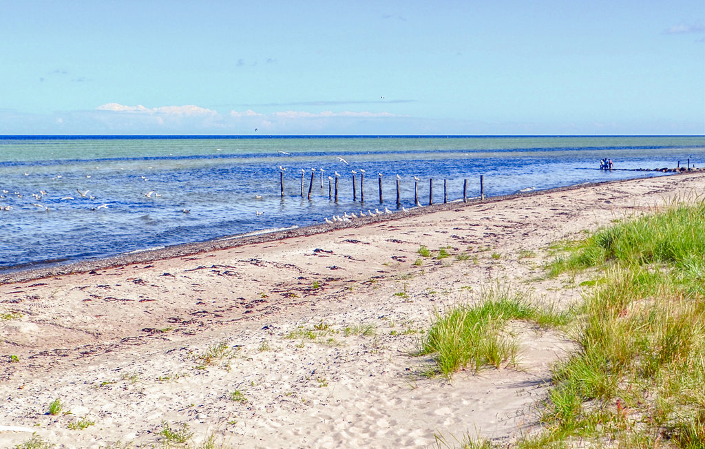 Ferienhaus - Fjellerup Strand , Dänemark - E5015 32