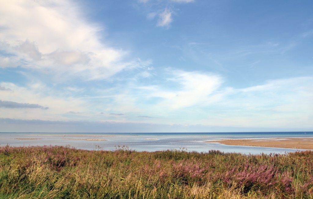 Feriehus - Bønnerup Strand , Danmark - E5126 39