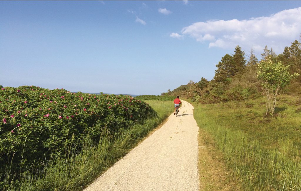 Feriehus - Bønnerup Strand , Danmark - E5126 44