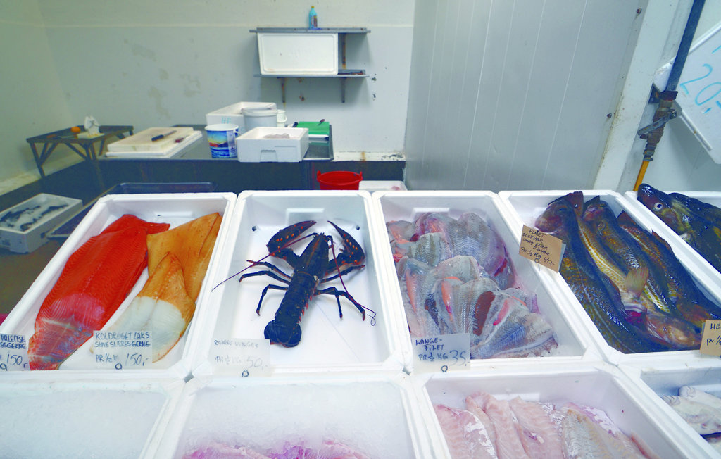 Ferienhaus - Bønnerup Strand , Dänemark - E5213 16