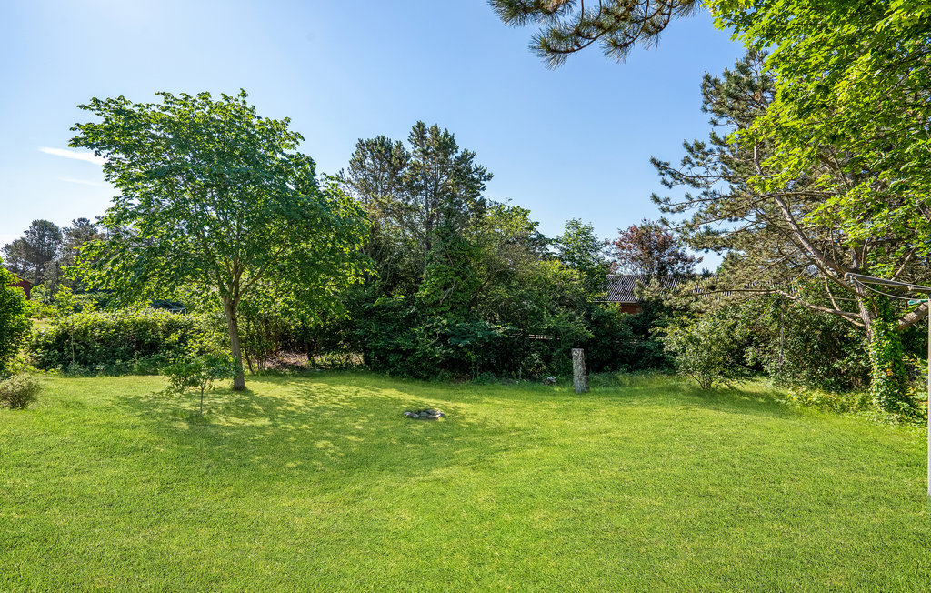 Feriehus - Bønnerup , Danmark - E5263 11