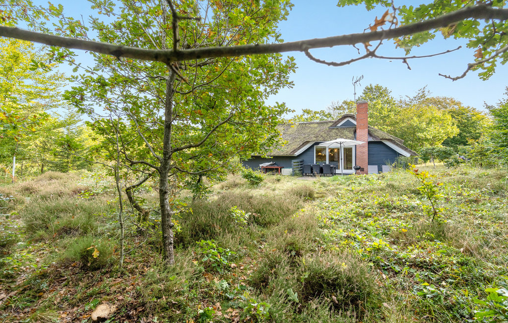 Feriehus - Fjellerup Strand , Danmark - E5207 10