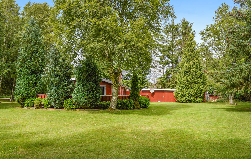 Feriehuse - Bisnap Strand , Danmark - E6146 8