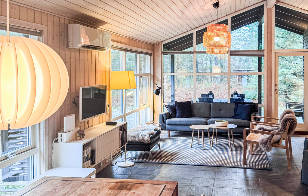 Ferienhaus - Skiveren Strand , Dänemark - E8094 6