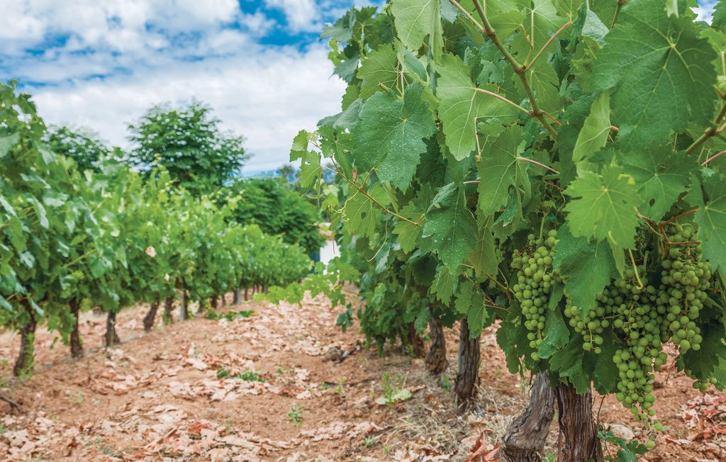 Feriehuse - Constantina, Sevilla , Spanien - EAC222 3