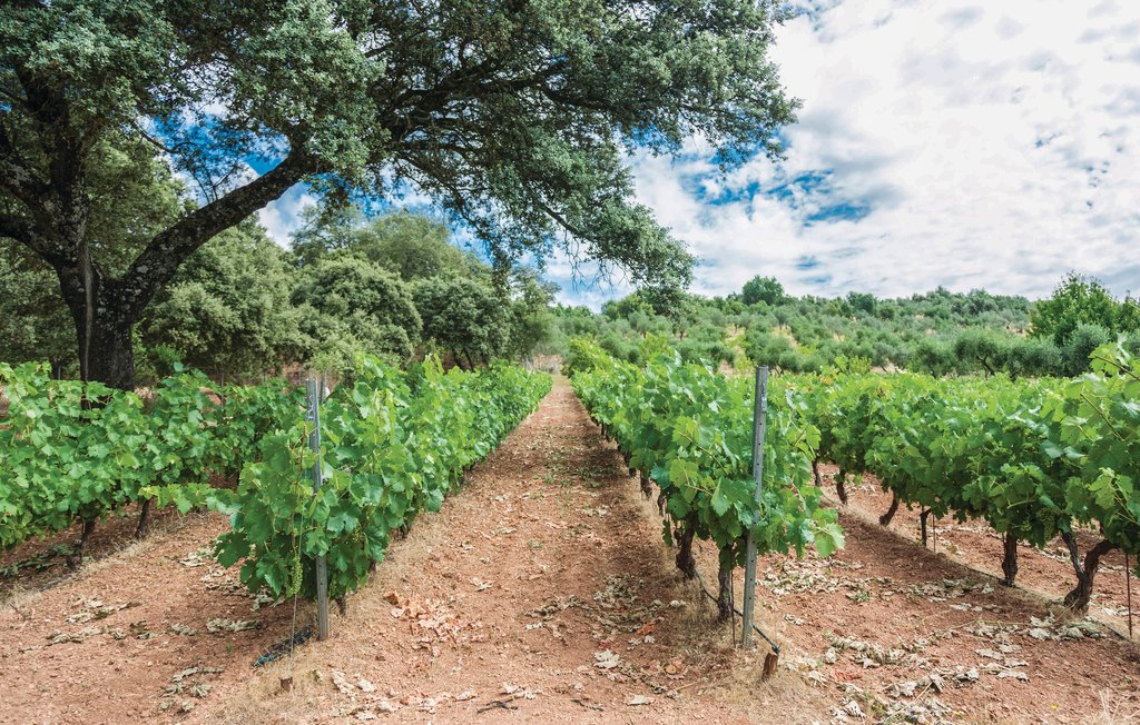 Feriehuse - Constantina, Sevilla , Spanien - EAC222 30