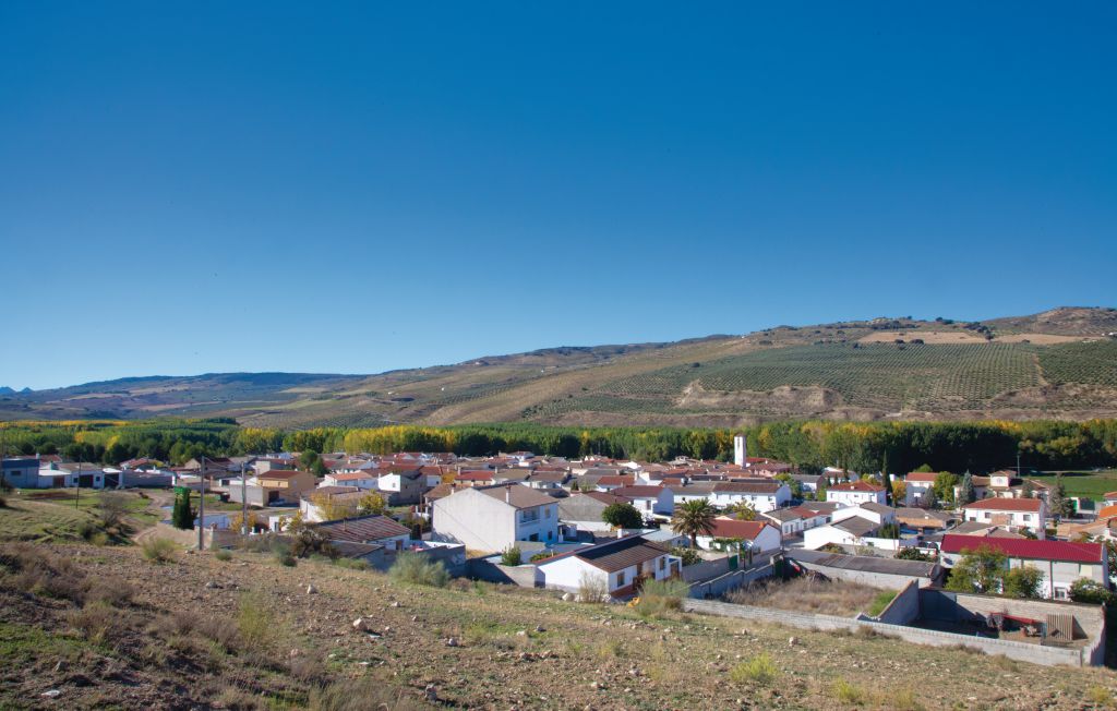 Feriehuse - Cacin , Spanien - EAC080 23
