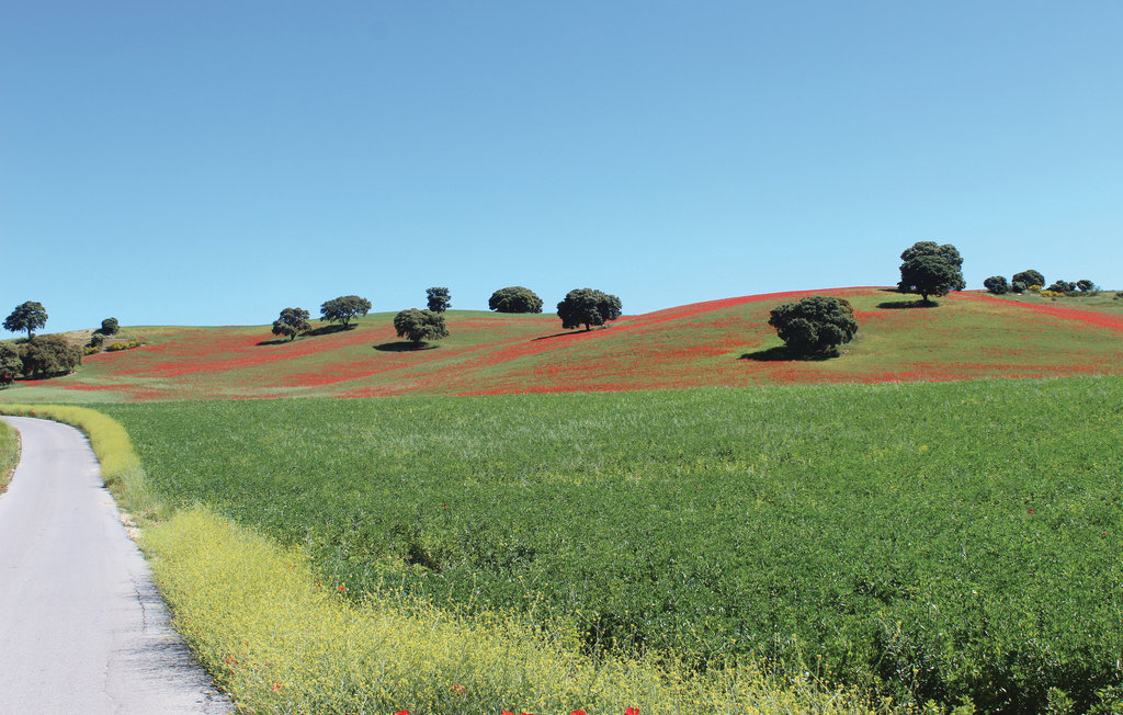 Feriehuse - Montefrío, Granada , Spanien - EAC164 19