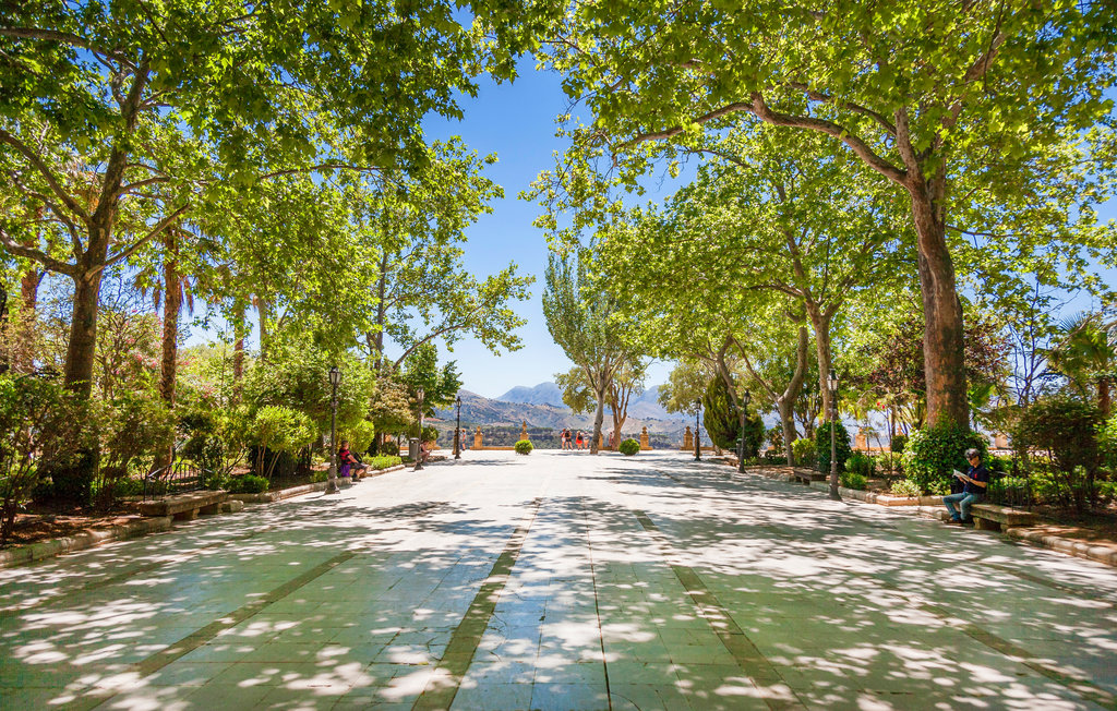 Ferienhaus - Arriate , Spanien - EAC505 7