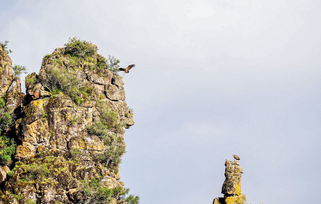 Ferienhaus - Adamuz , Spanien - EAC499 45