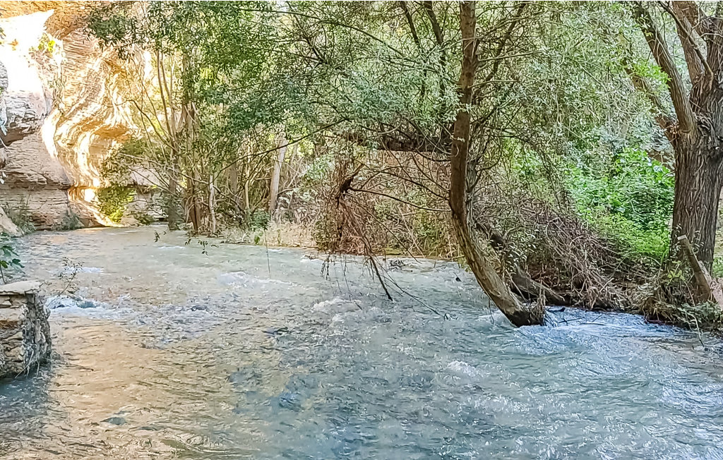 Feriehuse - Cacin , Spanien - EAC080 30