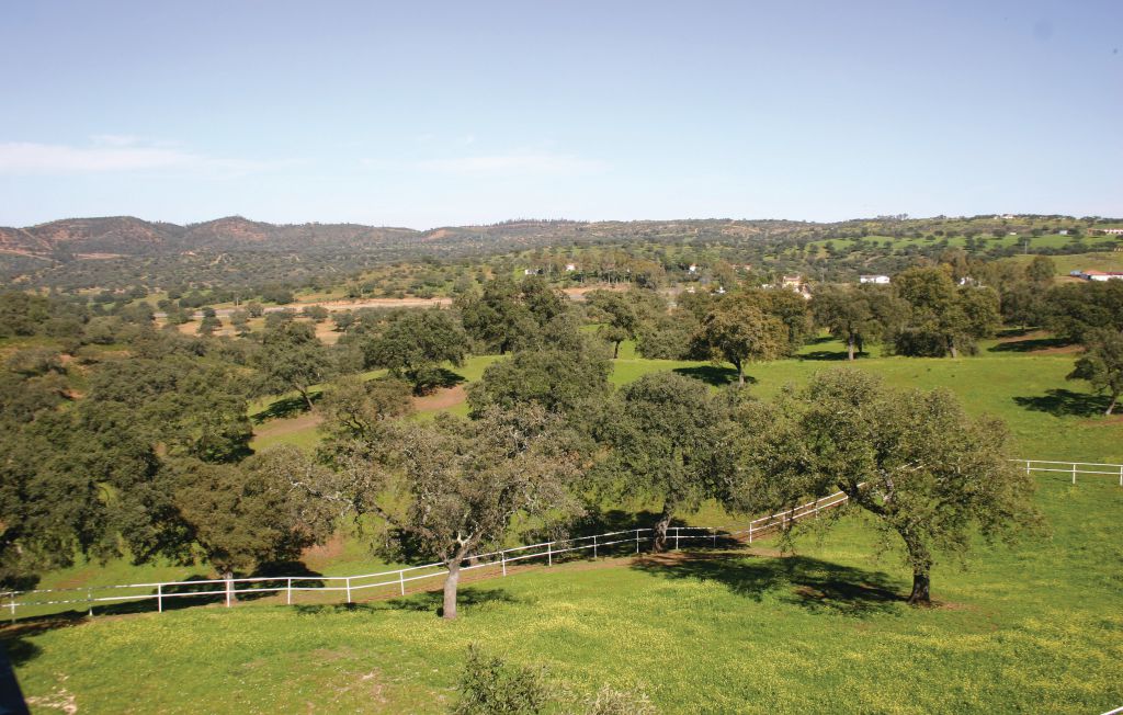 Ferienhaus - El Garrobo - Sevilla , Spanien - EAC130 45