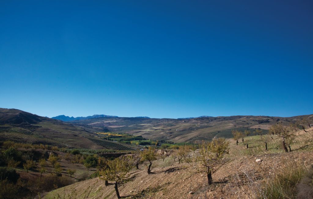 Feriehuse - Cacin , Spanien - EAC080 24