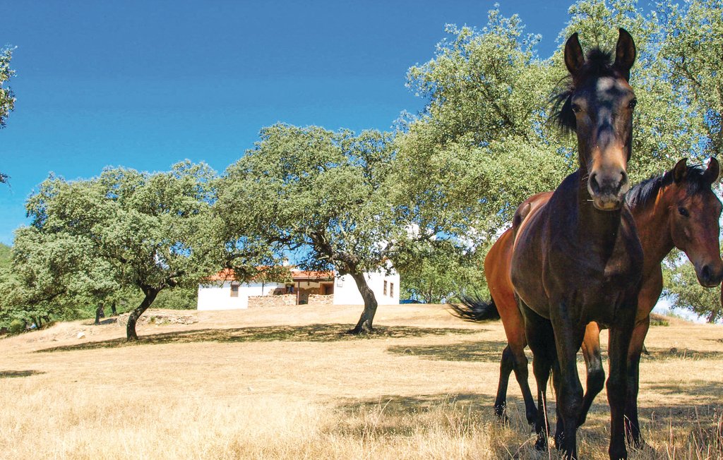 Feriehus - Villaviciosa de Córdoba , Spania - EAC276 31