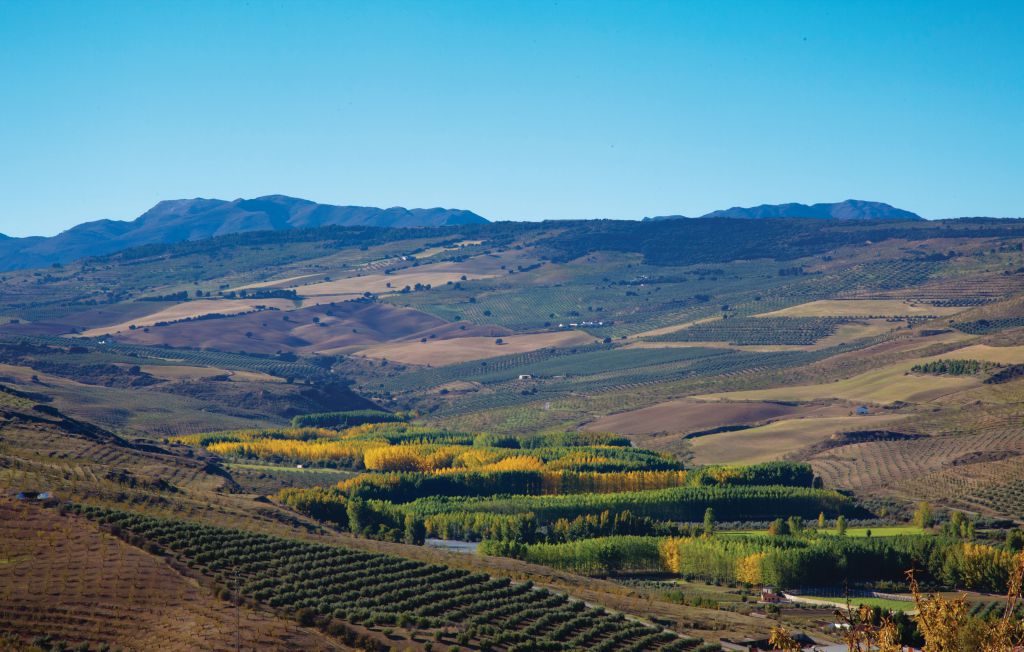 Feriehuse - Cacin , Spanien - EAC080 25