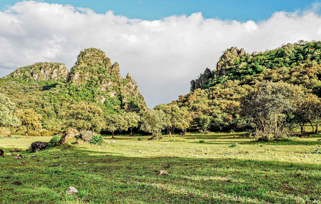 Ferienhaus - Adamuz , Spanien - EAC499 44