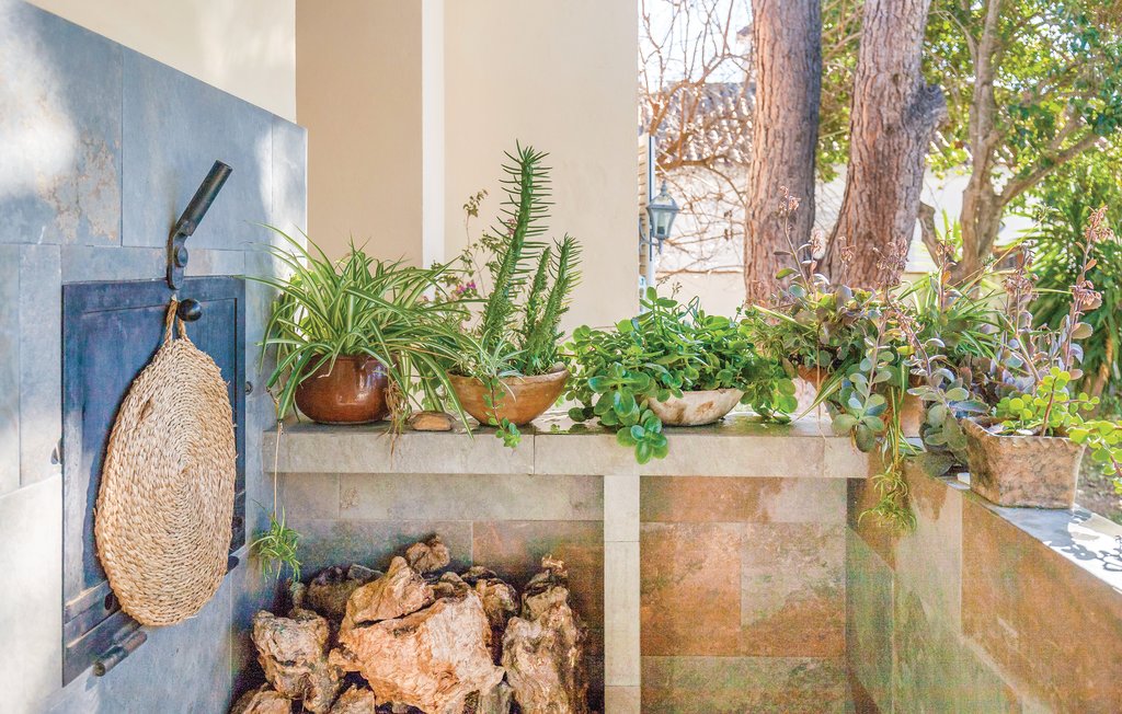 Ferienhaus - Arcos De La Frontera , Spanien - EAC252 12