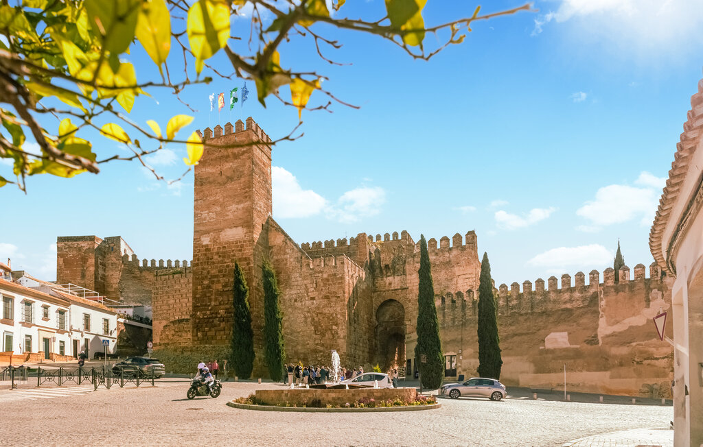 Ferienhaus - Carmona , Spanien - EAC934 14