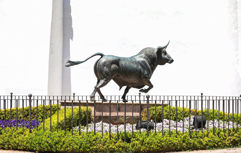 Ferienhaus - Ronda , Spanien - EAC975 25