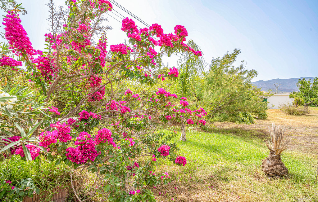 Ferienhaus - Alhaurin de la Torre , Spanien - EAG041 13