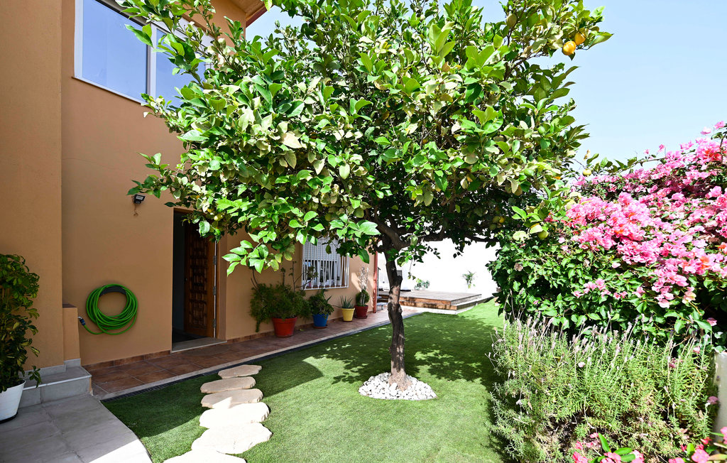 Feriehus - Malaga , Spania - EAG421 15