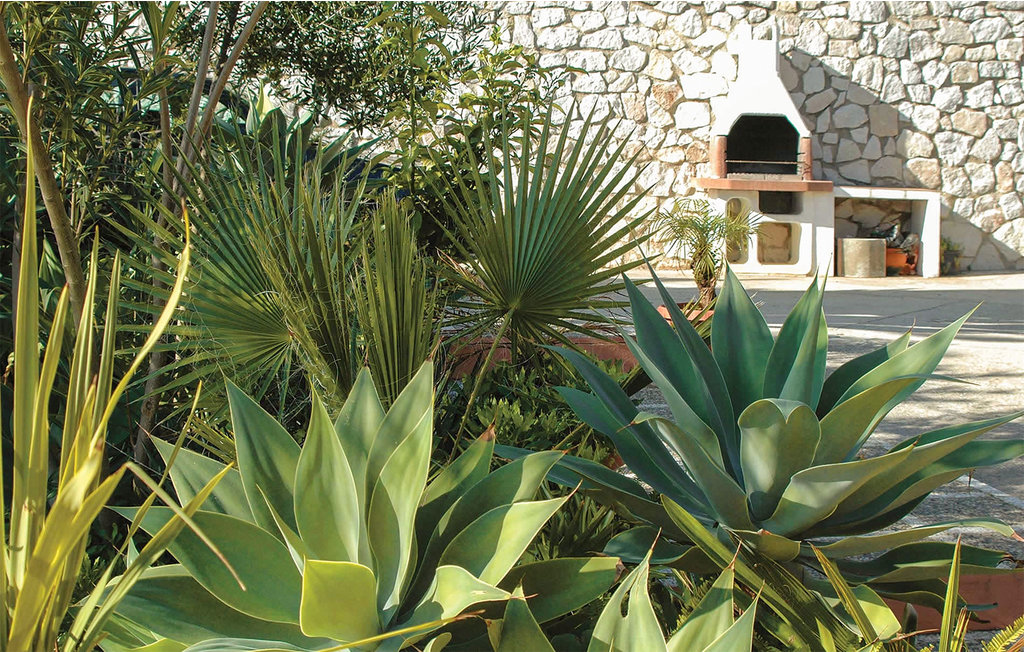 Feriehuse - Mijas , Spanien - EAG259 7