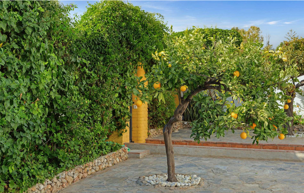 Semesterhus - Nerja , Spanien - EAG220 13