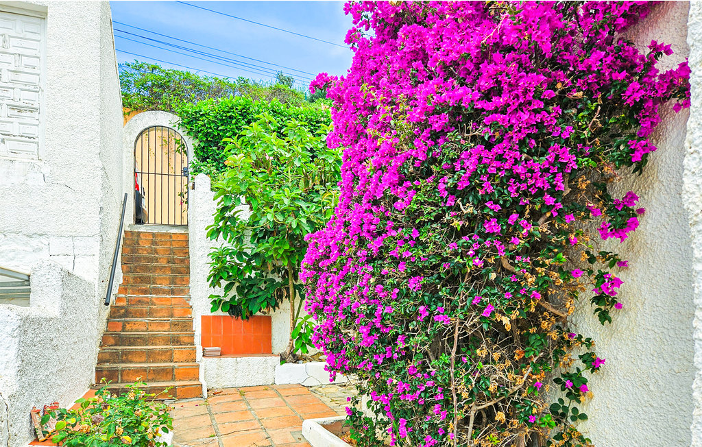 Ferienhaus - Marina de la Duquesa , Spanien - EAG602 18