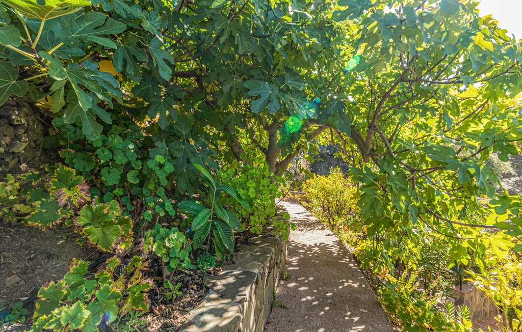 Lejlighed - Competa , Spanien - EAG632 18