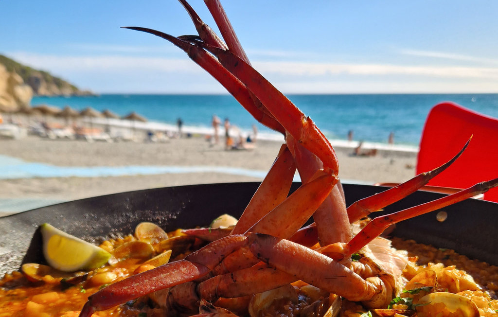 Feriehuse - Nerja , Spanien - EAG090 33