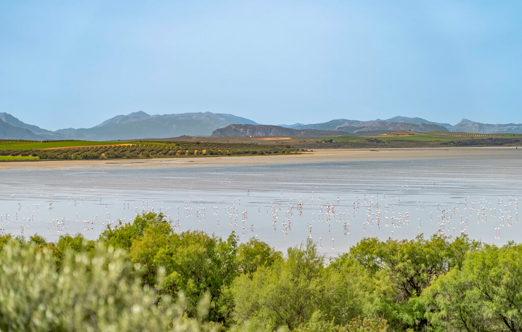 Lejlighed - Fuente de Piedra , Spanien - EAG689 12