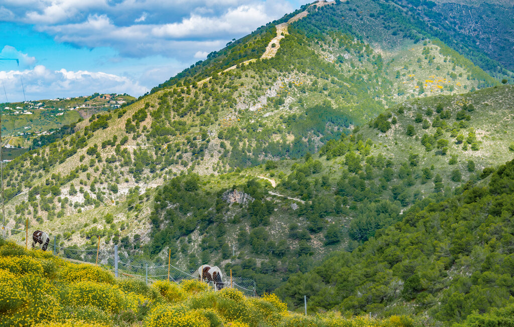 Ferienhaus - Frigiliana , Spanien - EAG730 26