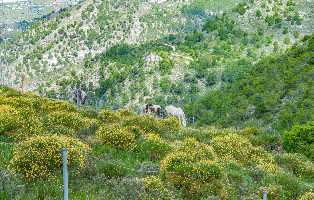 Ferienhaus - Frigiliana , Spanien - EAG730 27
