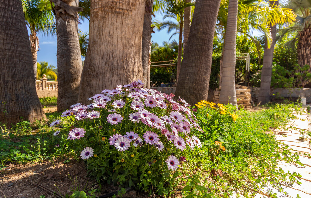 Feriehus - Alhaurin de la Torre , Spania - EAG771 30
