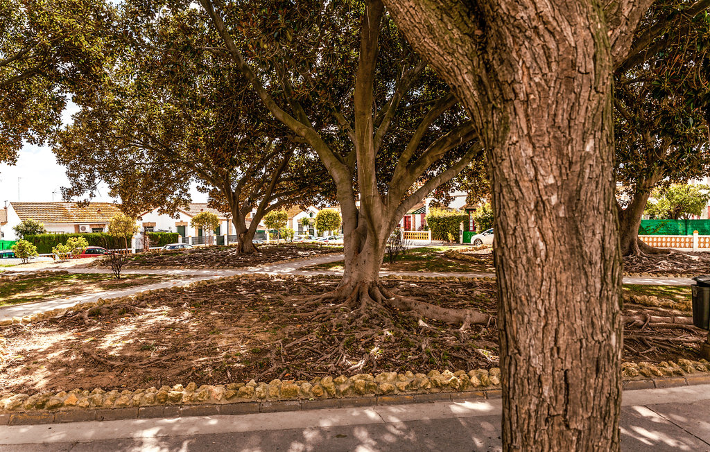 Ferieleilighet - Huelva , Spania - EAL249 16