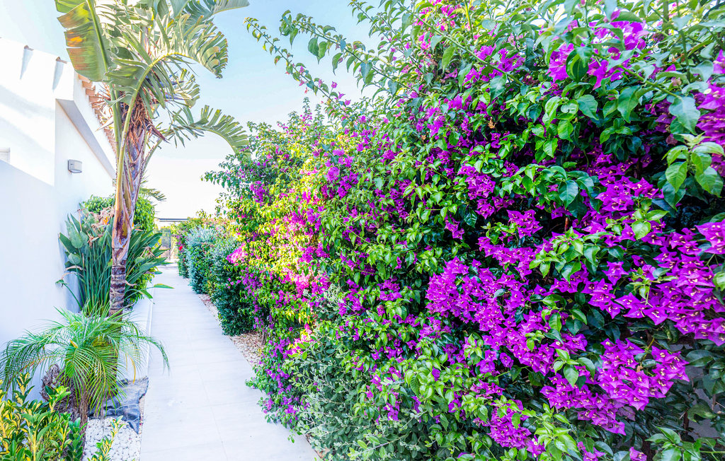 Feriehuse - Conil De La Frontera , Spanien - EAL077 14