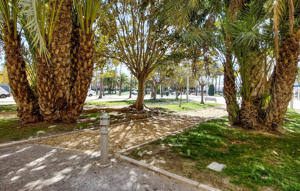 Ferienwohnung - Rota (Costa Ballena) , Spanien - EAL194 9