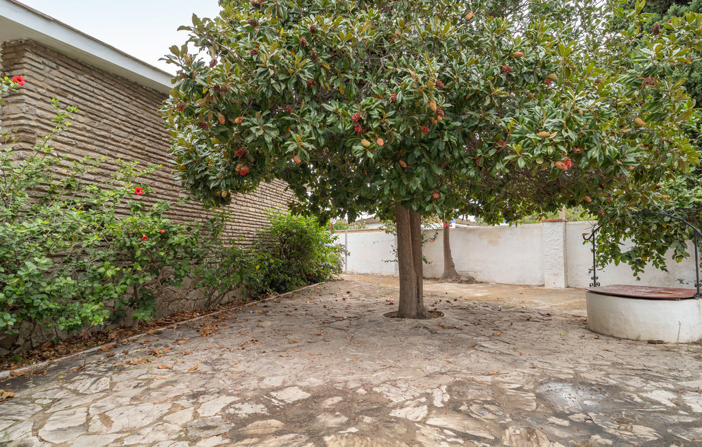 Feriehuse - San Roque , Spanien - EAL214 9