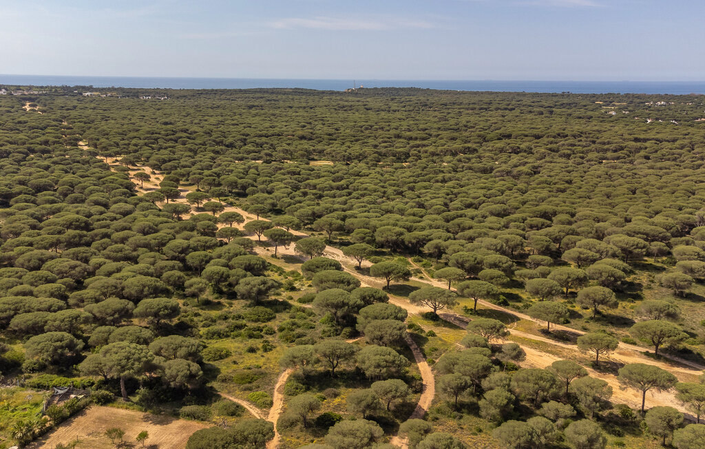 Feriehuse - Conil de la Frontera , Spanien - EAL302 15